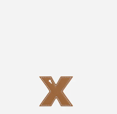 Alphabet X